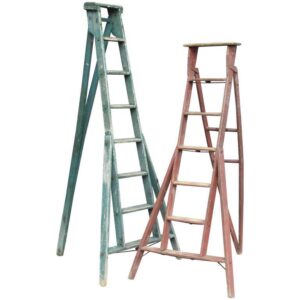 Iron & Wood Early Industrial Ladder