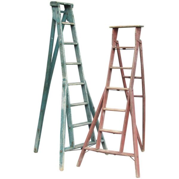 Iron & Wood Early Industrial Ladder