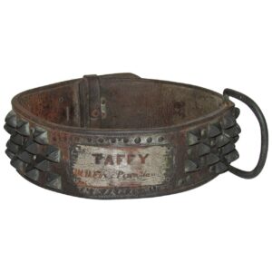 American Patented Metamorphic Ladder